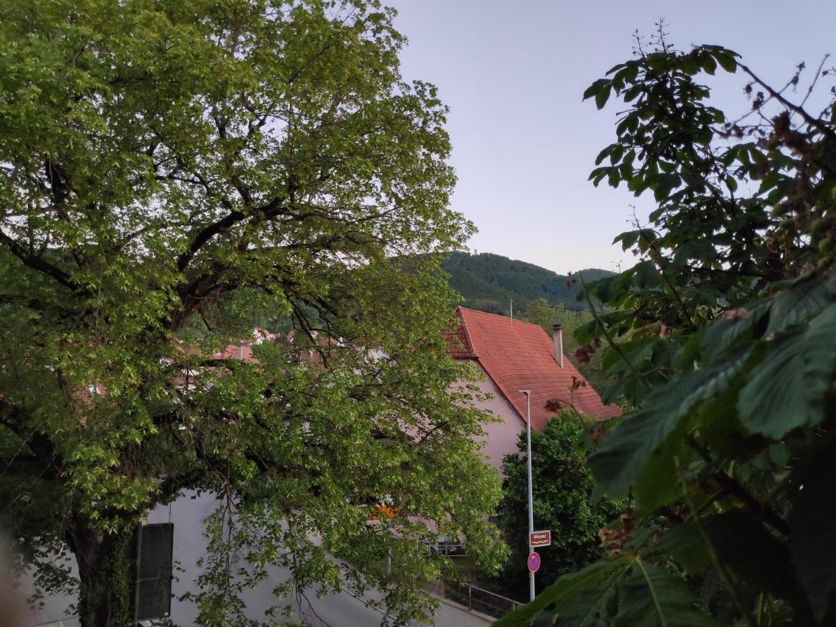 Ferienwohnungen Und Zimmer In Reutlingen-Goenningen מראה חיצוני תמונה